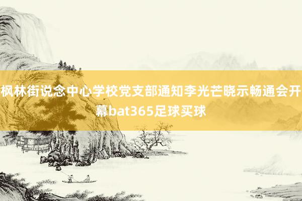 枫林街说念中心学校党支部通知李光芒晓示畅通会开幕bat365足球买球