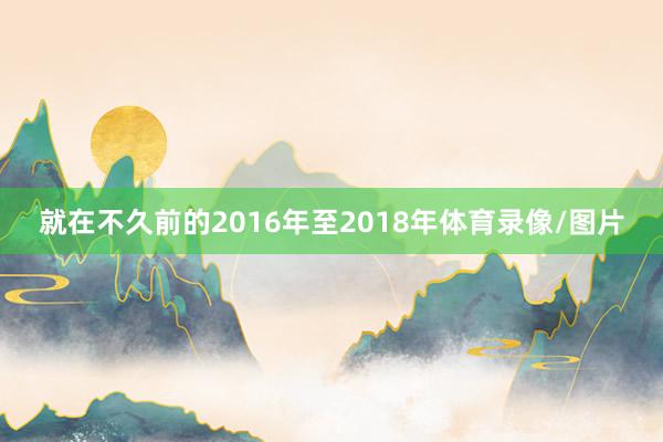 就在不久前的2016年至2018年体育录像/图片