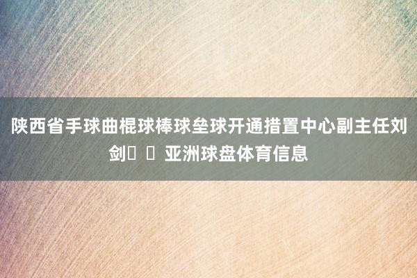 陕西省手球曲棍球棒球垒球开通措置中心副主任刘剑  亚洲球盘体育信息