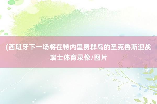 (西班牙下一场将在特内里费群岛的圣克鲁斯迎战瑞士体育录像/图片