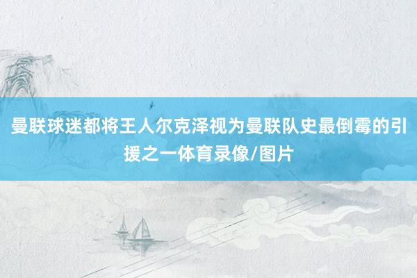 曼联球迷都将王人尔克泽视为曼联队史最倒霉的引援之一体育录像/图片