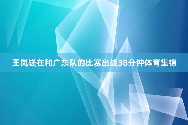 王岚嵚在和广东队的比赛出战38分钟体育集锦