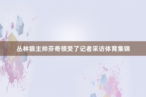 丛林狼主帅芬奇领受了记者采访体育集锦