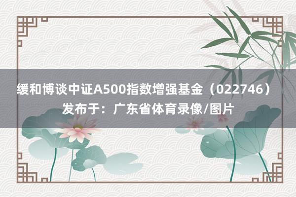 缓和博谈中证A500指数增强基金（022746） 发布于：广东省体育录像/图片