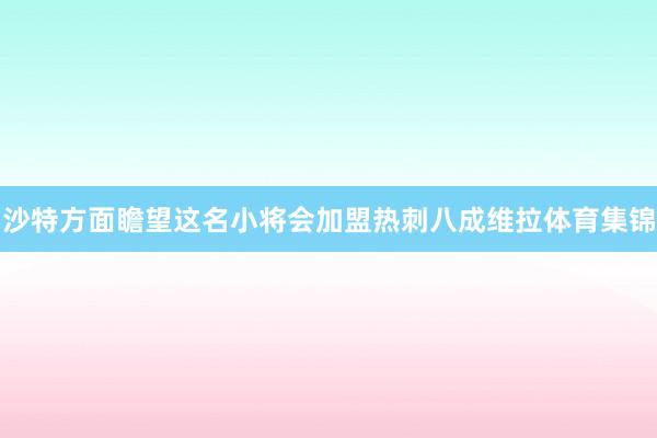 沙特方面瞻望这名小将会加盟热刺八成维拉体育集锦